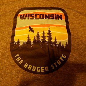 State of Mine Wisconsin The Badger State Gray Men's 2XL XXL Graphic T-Shirt EUC